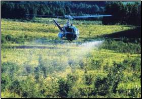 Soloy Hiller On Herbicide Application