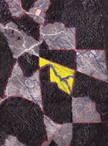 Herbicide Application Map On Raster Image